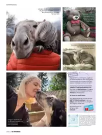 Das Futterhaus Prospekt Seite 32