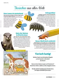 Das Futterhaus Prospekt Seite 35