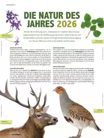 Das Futterhaus Prospekt Seite 36