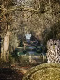 Das Futterhaus Prospekt Seite 6