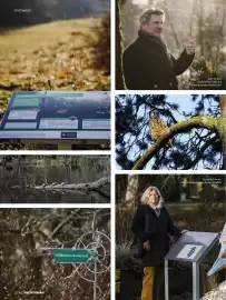 Das Futterhaus Prospekt Seite 8