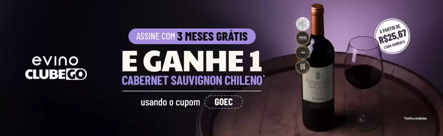 Catálogo Evino Página 4