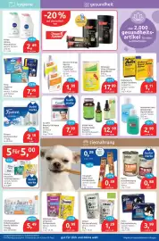 Budni Prospekt woche 10 Seite 5