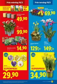 Lidl reklamblad vecka 8 Sida 20