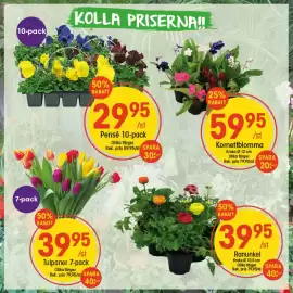 EKO reklamblad vecka 8 Sida 5