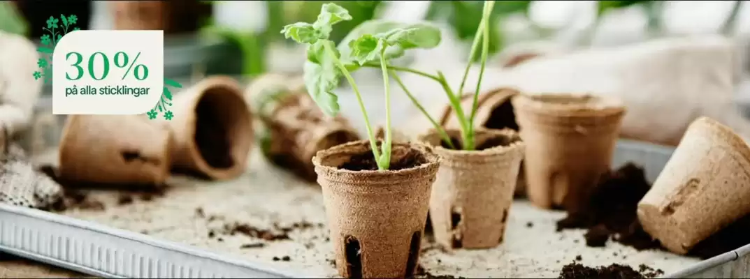 Plantagen annonsblad (giltig till och med 1-03)