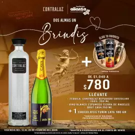 Folleto Bodegas Alianza Página 2