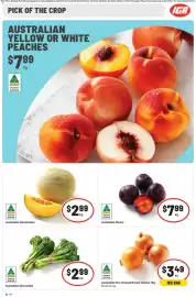 IGA catalogue week 8 Page 4