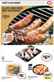 IGA catalogue week 8 Page 5