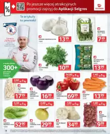 Selgros gazetka Strona 6