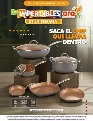 Catálogo Ara (válido hasta 18-02)