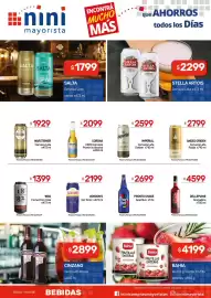 Catálogo Nini Mayorista semana 8 Página 14