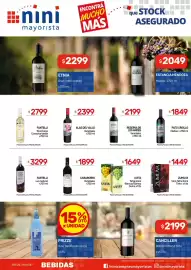 Catálogo Nini Mayorista semana 8 Página 16