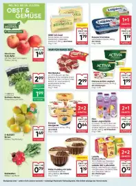 Maximarkt Flugblatt woche 8 Seite 10