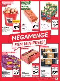 Maximarkt Flugblatt woche 8 Seite 13