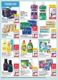 Maximarkt Flugblatt woche 8 Seite 16