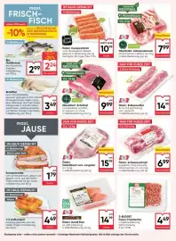 Maximarkt Flugblatt woche 8 Seite 8