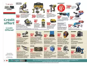 Canadian Tire flyer week 8 Page 13