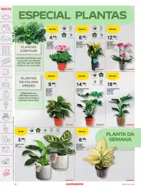 Folheto Continente semana 8 Página 50