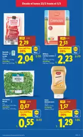 Catálogo Lidl semana 9 Página 15