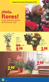 Catálogo Lidl semana 9 Página 36