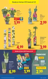 Catálogo Lidl semana 9 Página 37