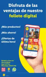 Catálogo Lidl | de Bazar Página 12