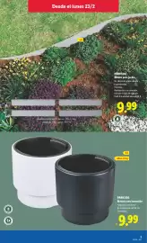 Catálogo Lidl | de Bazar Página 7