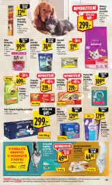 Albert leták týden 8 Strana 35