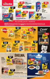 Albert leták Strana 27