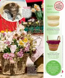 Poco Magazin Seite 35