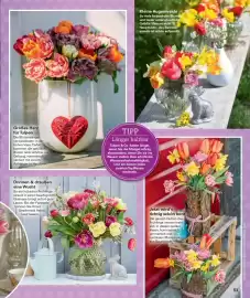 Poco Magazin Seite 53