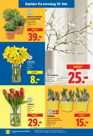 Lidl tilbudsavis Side 12