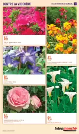 Catalogue Intermarché | Jardin mars page 3