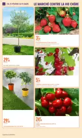 Catalogue Intermarché | Jardin mars page 6