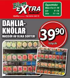 Extra Mjällby Stormarknad reklamblad vecka 8 Sida 14