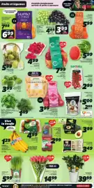 IGA flyer week 8 Page 3