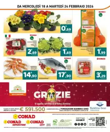 Volantino Conad Superstore settimana 8 Pagina 8