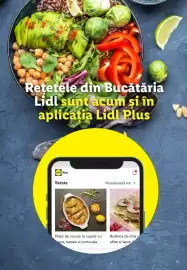Catalog Lidl săptămâna 8 Pagină 13