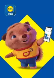 Catalog Lidl săptămâna 8 Pagină 18