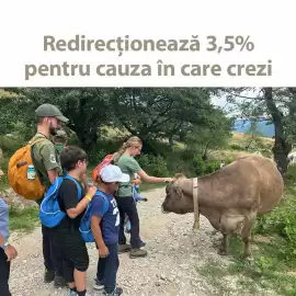 Catalog JYSK săptămâna 8 Pagină 4