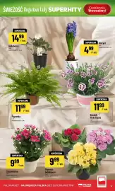 Polomarket gazetka tydzień 8 Strona 9