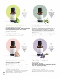 Catálogo Nice Página 82