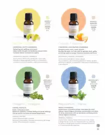 Catálogo Nice Página 83