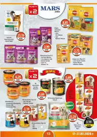 DUO-TES gazetka Strona 13