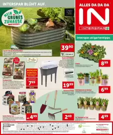 Interspar Flugblatt woche 8 Seite 16
