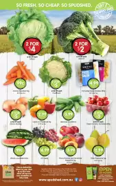 Spudshed catalogue Page 15