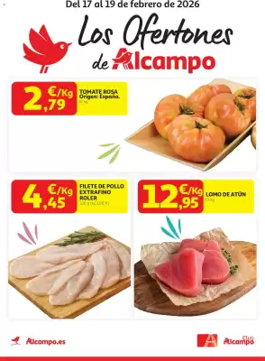 Folleto Alcampo (válido hasta el 19-02)