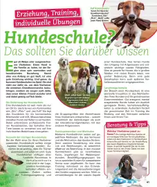 Poco magazine Pagina 41