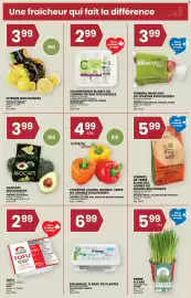 Rachelle-Bery Grocery flyer week 8 Page 3